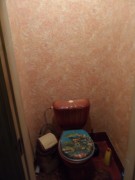  с.Нерубайское,  добротный   дом  2002г. постройки,  в уютном тихом месте