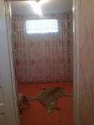 с.Нерубайское,  продается добротный дом 2 эт.  из  ракушечника, общей площадью -  100кв.м