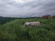 Дом-коробка 2 этажа, 180 м2