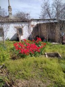 Добротный хозяйский дом с 18ю сотками земли