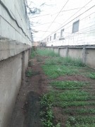 Тепличный комплекс в Нерубайском