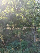 Дачный домик 2 этажа из красного кирпича, земли 5,8 соток