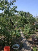 Дачный домик 2 этажа из красного кирпича, земли 5,8 соток