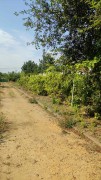 Уютный дом в Нерубайском со всем пакетом документов и с 25 сотками земли