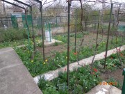 Нати СК «Керамик» 2х этажная дача из ракушняка